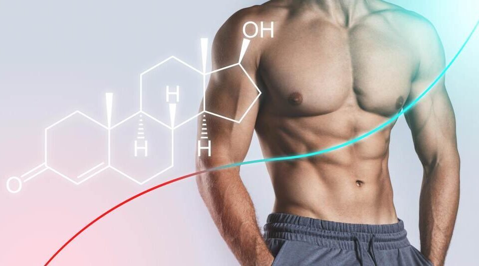 What Kinds of Foods are Necessary to Avoid While on a Steroid Cycle